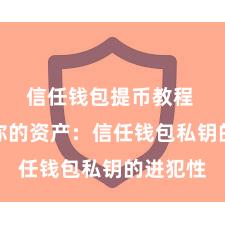 信任钱包提币教程 保护好你的资产：信任钱包私钥的进犯性