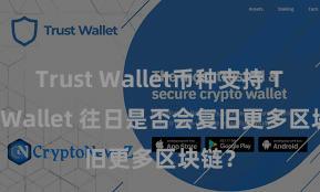 Trust Wallet币种支持 Trust Wallet 往日是否会复旧更多区块链？