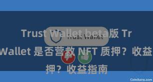 Trust Wallet beta版 Trust Wallet 是否营救 NFT 质押？收益指南