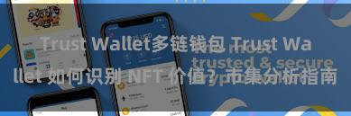 Trust Wallet多链钱包 Trust Wallet 如何识别 NFT 价值？市集分析指南