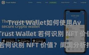 Trust Wallet如何使用Avalanche Trust Wallet 若何识别 NFT 价值？阛阓分析指南