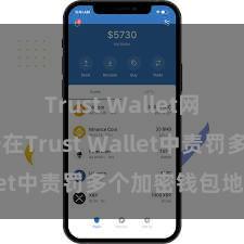 Trust Wallet网页版 如安在Trust Wallet中责罚多个加密钱包地址？