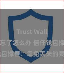 Trust Wallet助记词忘了怎么办 信任钱包撑捏：幸免丢失的灵验秩序